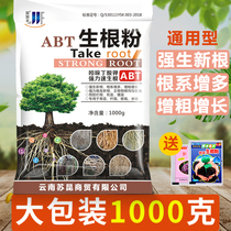 Quick rooting powder Cuttings and seedling plants Universal strong quick-acting rooting agent liquid Large trees and fruit trees transplanting hair root powder