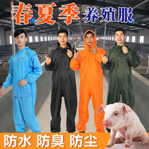 Special clothing for pig breeding Deodorant Clothing for feeding pigs Special clothing for breeding farms Overalls One-piece protective clothing