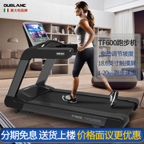 Italy Opalon commercial treadmill household luxury intelligent silent light commercial fitness TF600