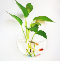 Bedroom living room wall home decorations wall decoration hanging vase wall hanging fish tank wall hanging wall flower pot ecological tank