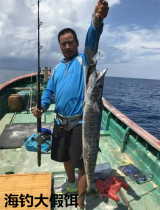 Mino Sea bait 180mm88 gram big tongue plate Mino bait fake bait boat fishing trolling sea bass fish bait mackerel