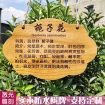 Outdoor solid wood waterproof tree signboard custom plant name brand making school small tree adoption brand decoration