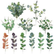 Nordic ins simulation eucalyptus leaves green leaves fake leaves decorative photography props wedding dress money leaves