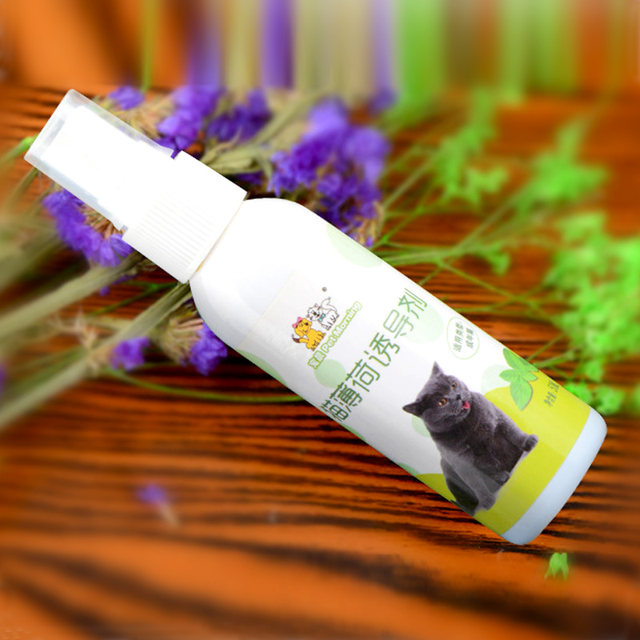 Catnip Spray Catnip Spray Cat Bohol Exciting Pet Cat Supplies Spray on Cat Toy Cat Scratching Board