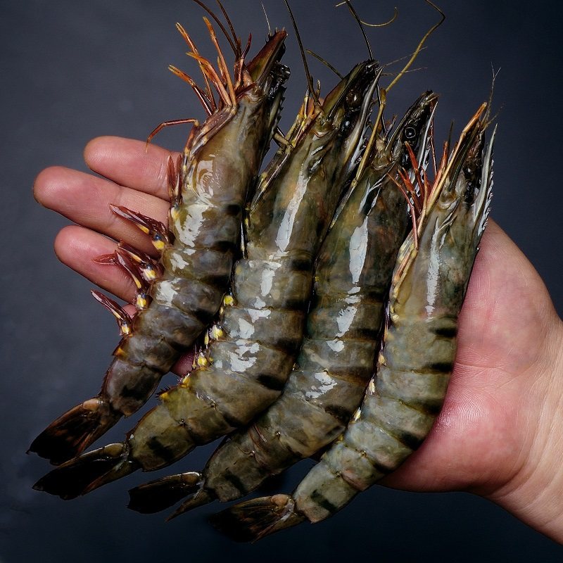 越南进口黑虎虾大虾鲜活速冻老虎虾海鲜水产斑节虾冻虾鲜虾