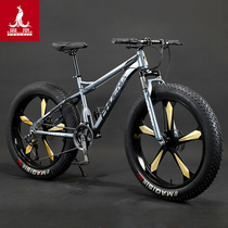 Phoenix snowmobile ATV mountain bike 4 0 oversized wide tire shock absorption mens and womens variable speed off-road vehicle