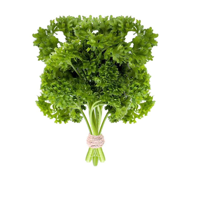 500g系列:荷兰芹品牌:富之绿城市:昆明市省份:云南省产地:中国大陆