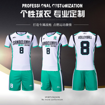 Full body pattern personalized custom professional volleyball uniform mens self-cultivation training team competition sports suit quick-drying and breathable