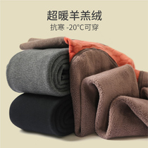 women's autumn winter lamb fleece flesh color leggings underwear warm wool fleece thick northeastern super thick cashmere pantyhose