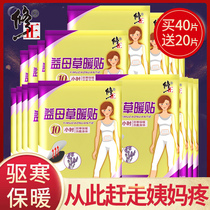 Correction of warm paste warm baby paste Motherwort warm Palace paste menstrual period spontaneous hot paste conditioning Palace cold aunt Hot Application