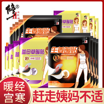 Fix Warm Patch Baby Stick Motherwort Great Aunt Stick Palace Warm Spontaneous Heat Aiba Stick Warm Up to Woman Waist Belly