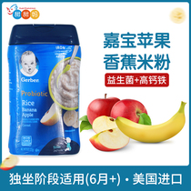 American Garbo 2-segment Apple Banana Rice Fan Baby Rice Flava 227g Baby Baby Infant Nutrition Assistant