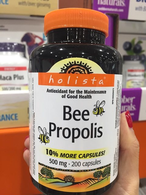 加拿大包直邮holista bee propolis 黑蜂胶 200 粒