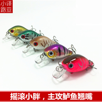 Luya bait rock small fat perch clever mouth lore Freshwater Sea water universal suitable for long throw hard bait fake bait