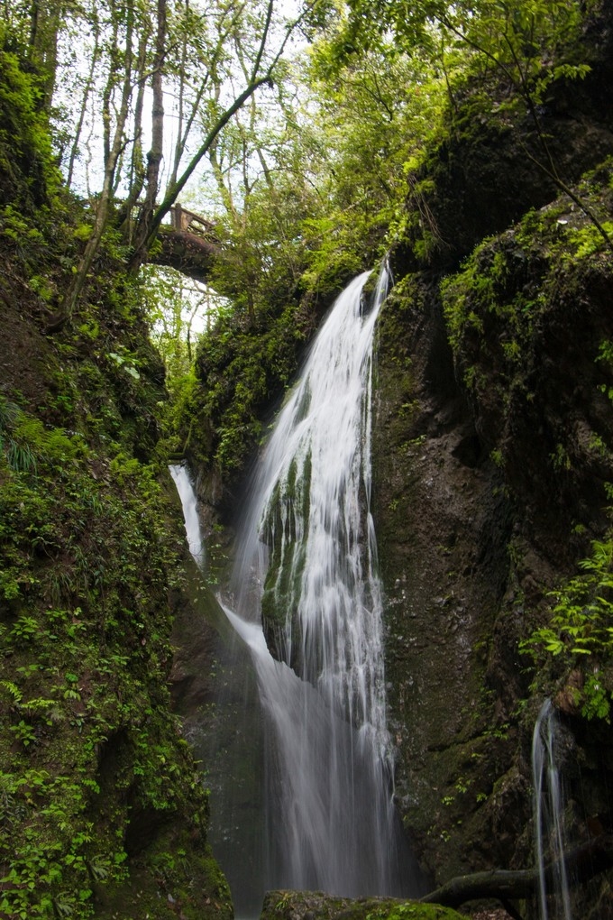 拜别四姑娘,问道青城山
