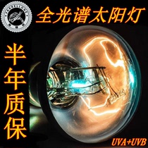 Climbing pet Full Spectrum UVA UVB sun lamp tortoise day lamp lizard instead of Mega-ray heating calcium supplement sun back