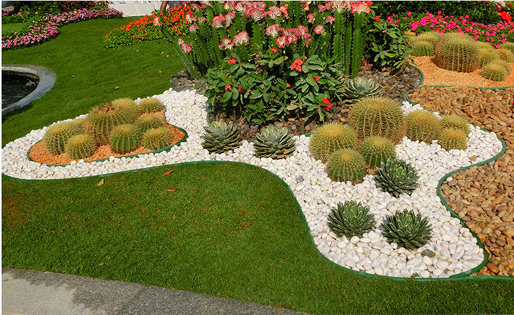 隔根板隔根带绿色胶板 草石隔离层草坪绿篱分隔板绿化草石隔离带