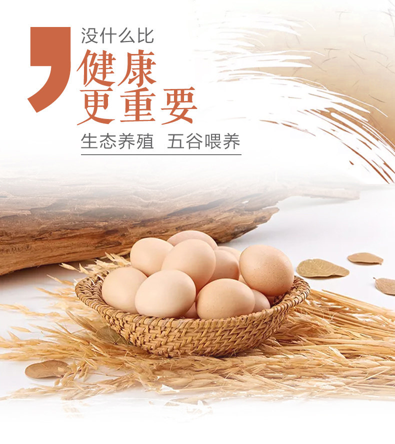30枚 农家山中散养土鸡蛋纯天然草鸡蛋新鲜老母鸡蛋柴鸡蛋笨鸡蛋_白菜