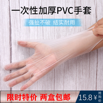 Disposable gloves food catering beauty salon special transparent PVC film thickened baking box waterproof wear-resistant