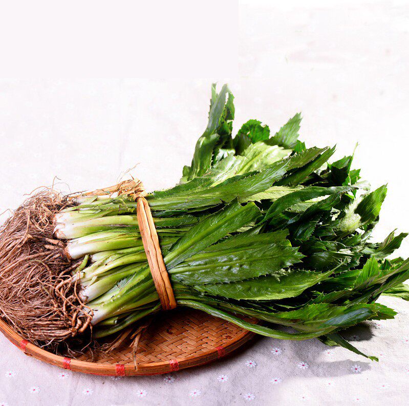 1斤包邮新鲜刺芫荽泰国 傣味大香菜 刺芹 鹅芥假元西第二份减8元