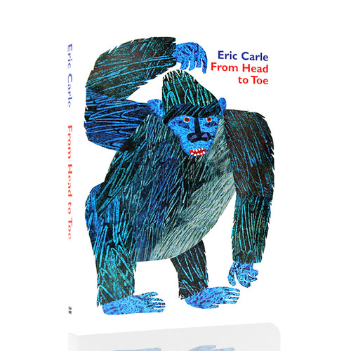 展示与对比:from head to toe 英文原版 纸板书 从头动到脚 从头到脚 