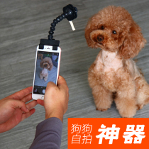 Dog photo cat lens Z93HLWiZzb pet selfie artifact Black PVC material cat and dog pet toy