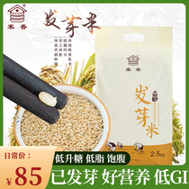 Zhaixiang sprouted brown rice small town sprouted rice coarse grains five grains five catties fitness full stomach low GI germ rice