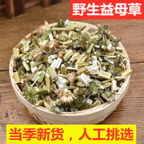 Motherwort 500g fresh female foot big aunt flower tea bubble water non motherwort granules