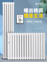 Natural gas heating sheet customized household steel centralized heating wall hanging water heating radiator heating steel two column thickening