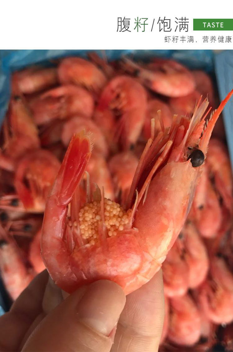 加拿大头膏腹籽北极虾甜虾即食带籽仔大号北极甜虾熟冻元宝虾冰虾