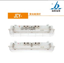 Starfish Marine Marine fluorescent cabin ceiling light ZYC24-2EF JCY24-2EF ZYC24-2 ZYC24-2E