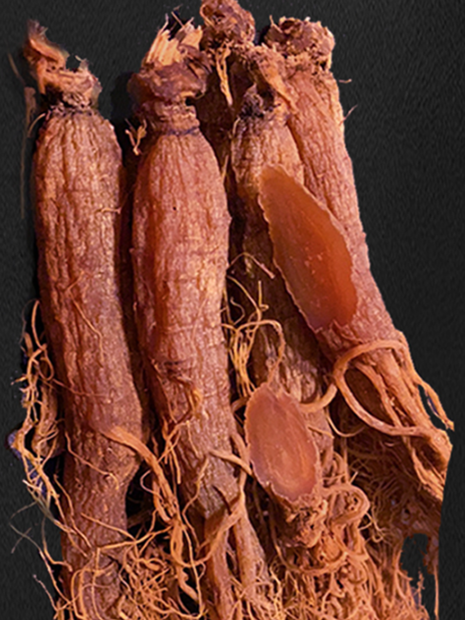 长白山 无糖红参整支-热爱美食的小菜