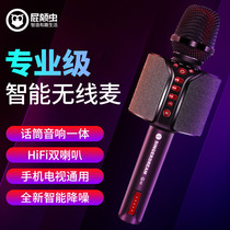 Fart bug g30 mobile phone Bluetooth microphone Dual speakers Handheld smart wireless microphone National k song Home car