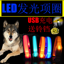 Pooch charging light Item Circle Dog ring neck ring Small Medium Dog Teddy kitty Kitty neck Nightlight Pet Supplies