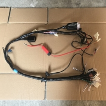 Qian Jiang Original Factory Accessories Storm Taiko QJ150-18F Cable Assembly 150-3A 3B Full Car Line Harness