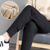 Winter plush sweatpants woman thickened lamb fluid relaxation pinch-footed warm cotton pants wearing sweatpants