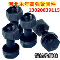 Class 10 9 steel structure Bolt high strength Bolt torsion shear Bolt M16M20M22M24 specifications complete