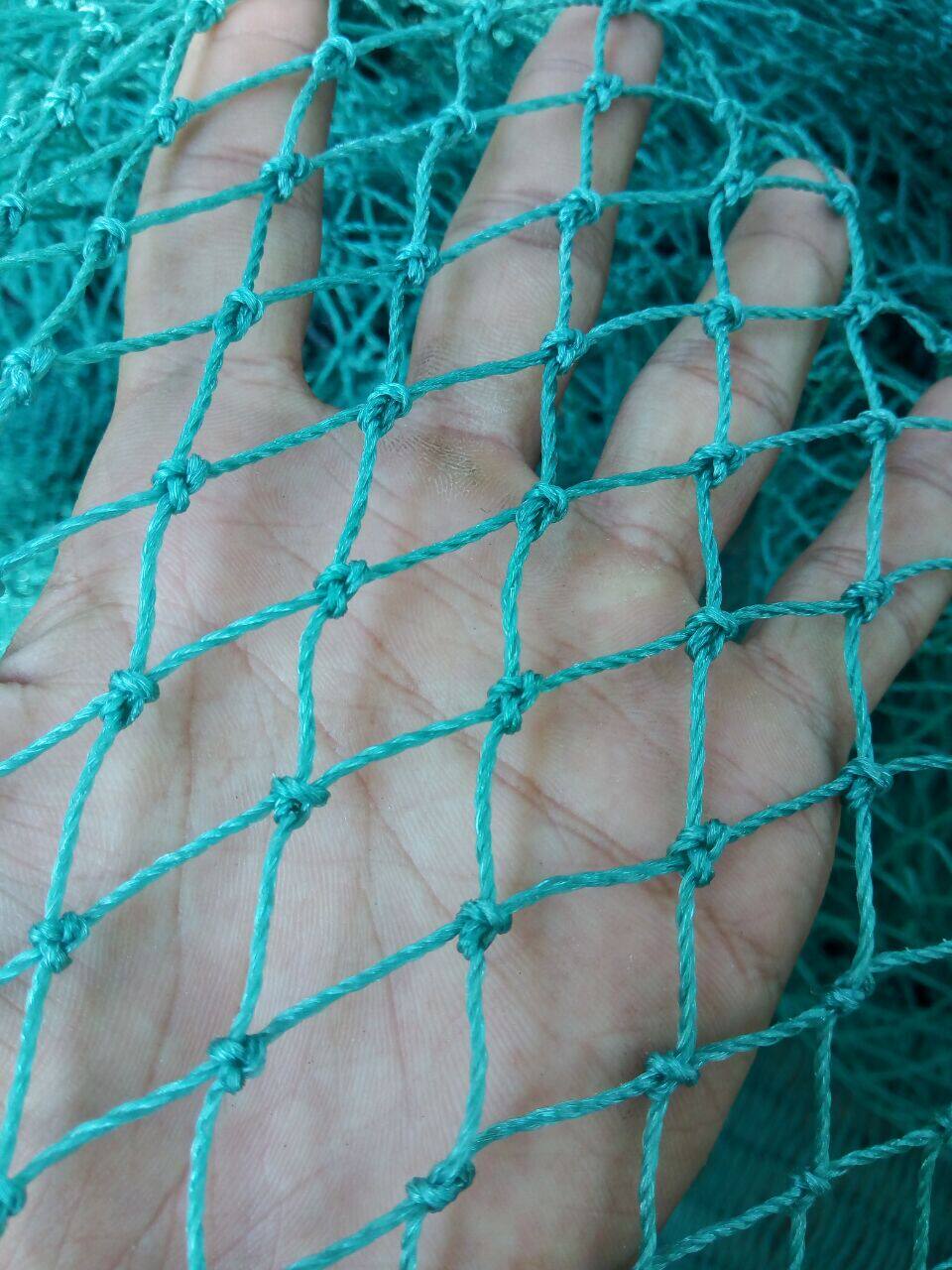 鱼网网片拉网 养殖网 渔网 聚乙烯网片 尼龙网 捕鱼网布 有结网_双氙