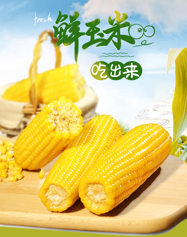 笨磨坊 非转基因 东北粘糯玉米 220g*10根 天猫优惠券折后￥24.