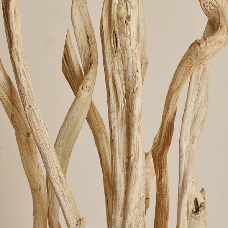 境泉藤条落地艺术摆件-植物汇