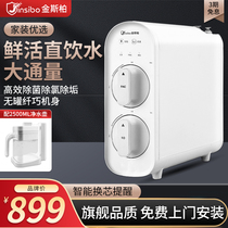 Ginberg Water Purifier Home Ro Reverse Osmosis Kitchen Straight Drinking Smart Filter Tap Water Big Flow Pure Water