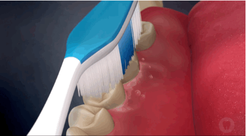 刷毛与牙齿呈45-60度,对牙背进行清洁.