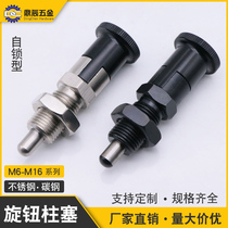 Self-lock knob plunger spring plunger positioning pin telescopic indexing pin PXYAN PXYKN SXYAN SXYKN