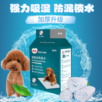 Yi Qin pet urine pad absorbent diaper thickened 100 s deodorant teddy rabbit diaper large dog diaper