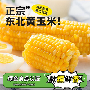 东北甜糯玉米黄糯玉米棒香甜玉米新鲜低脂大棒真空代餐整支非即食