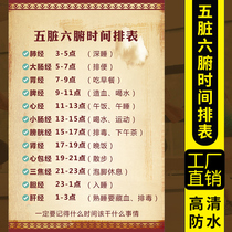 Five-dirty Six-Visceral Time Platoon Chart of Chinese Medicine Health Preservation Hanging Painting Meridians Health Promotion Publicity Stickler for Nourishing Propaganda