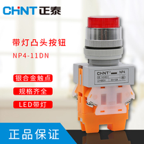 CHNT Illuminated Push button switch Self-duplex NP4-11DN 24V 220V High button high button LAY37