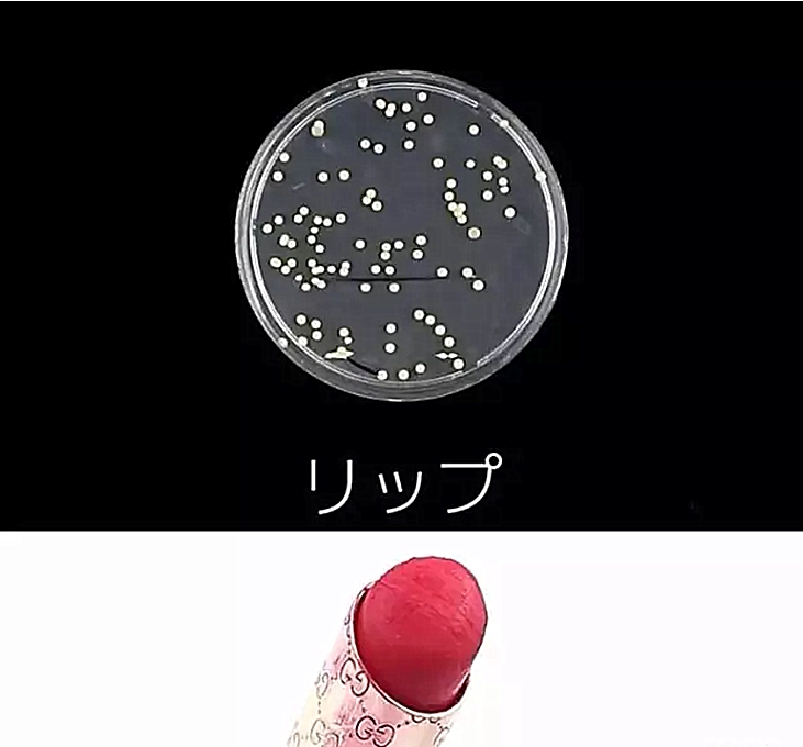 两天后,唇膏的培养皿中已经可以看到很多细菌了.