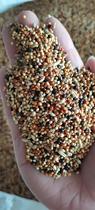 Tiger Peony Xuanfeng Pacific small parrot feed combination grain (3) beat 1 piece = 5kg