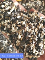 Little Sun Golden Sun King Kong Asian medium parrot with Shell five-in-one bird grain feed 1 piece = 5kg